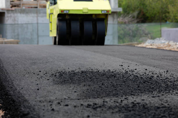 Best Custom Driveway Pavers  in Brunswick, GA